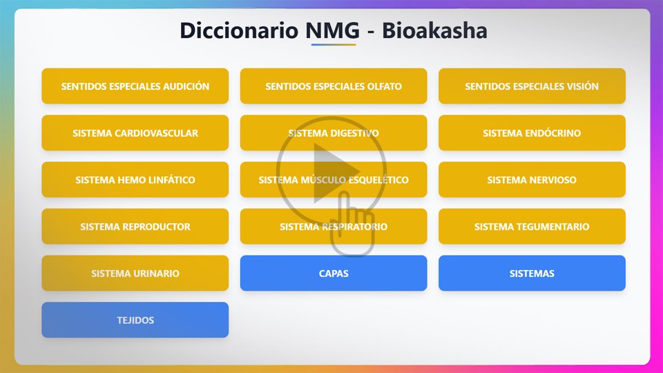 Diccionario de NMG y Biodescodificación